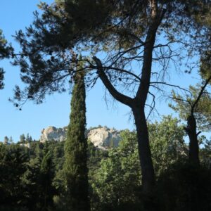 vue de la cabane de la leque location saisonnière dans les alpilles an Provence, Pays d'Arles.