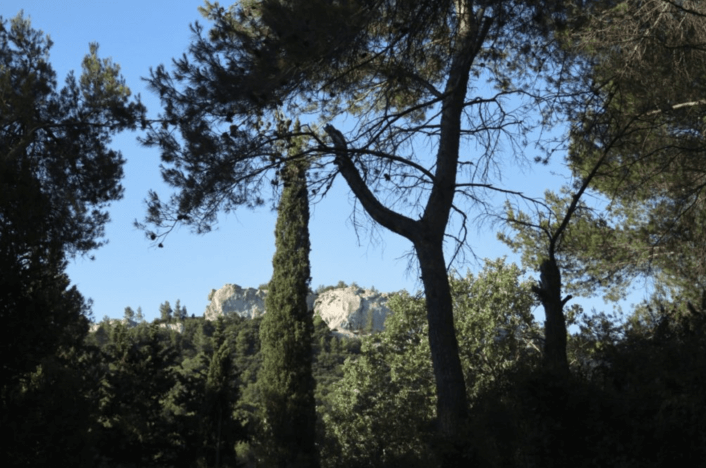 Capture d’écran 2025 04 03 à 17.14.44