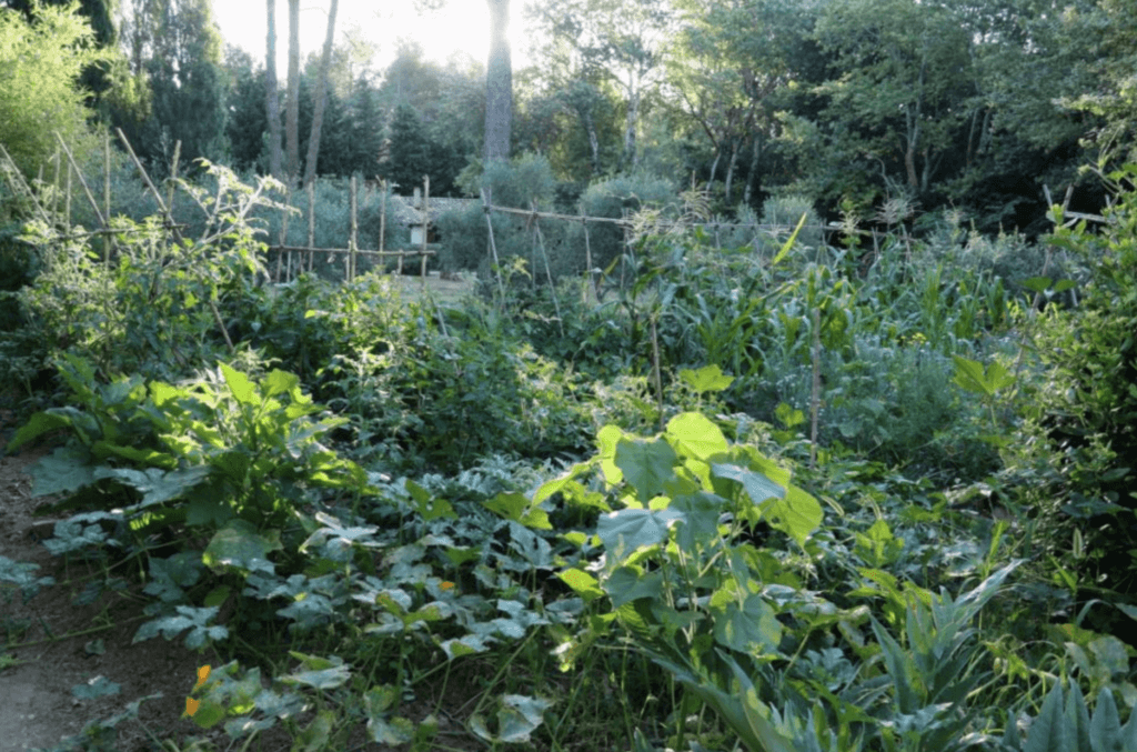 gite insolite piscine min