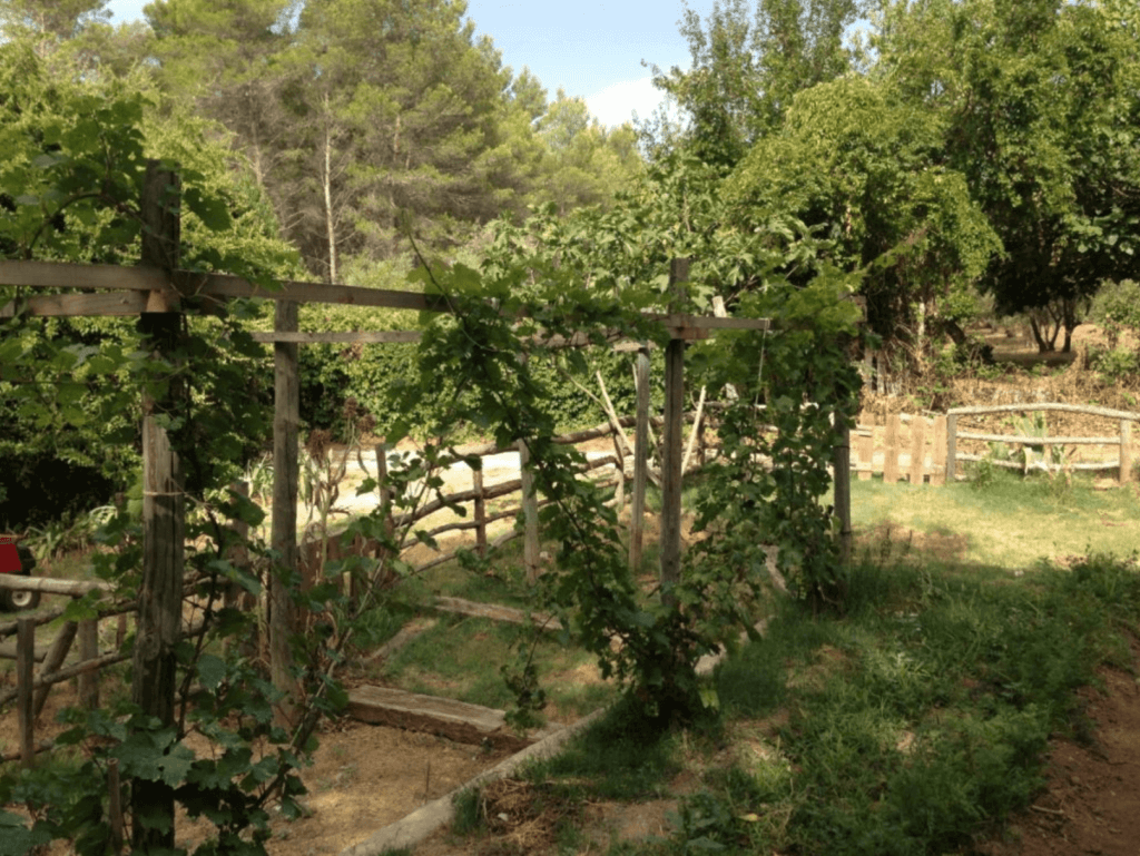 gite nature alpilles min