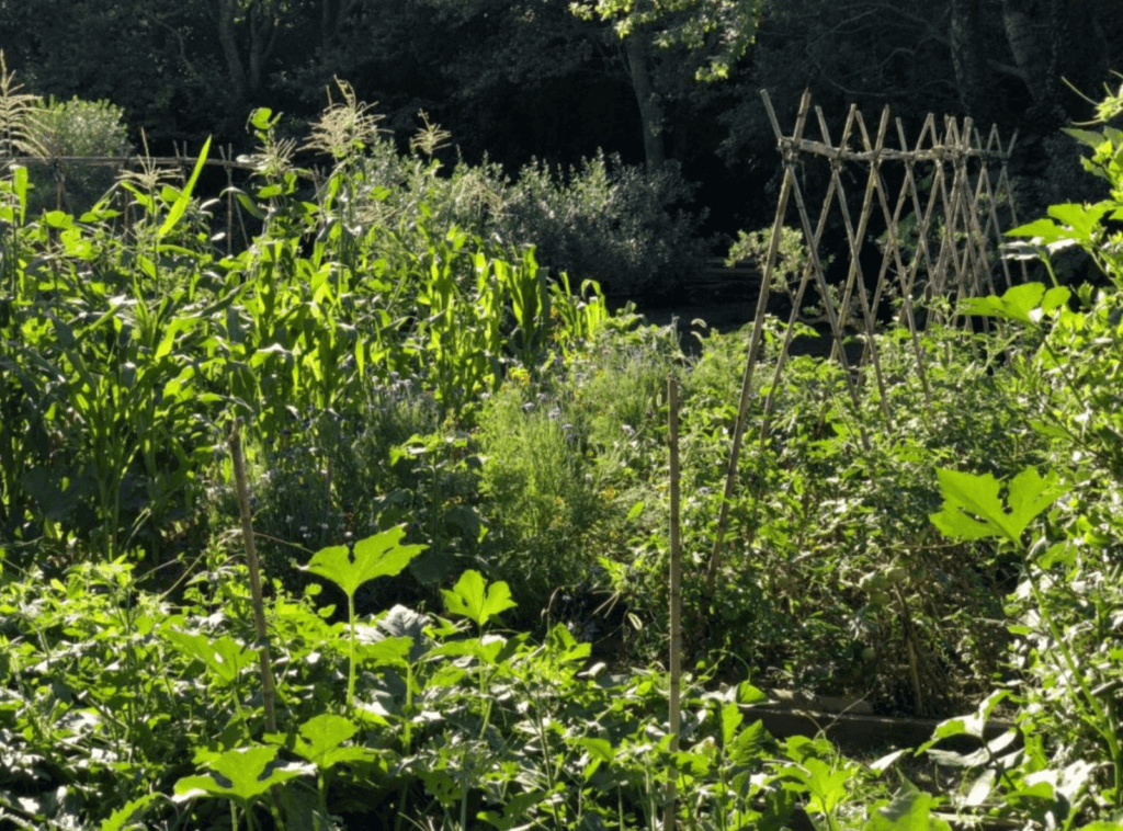 gites alpilles Fontvieille moulin daudet min