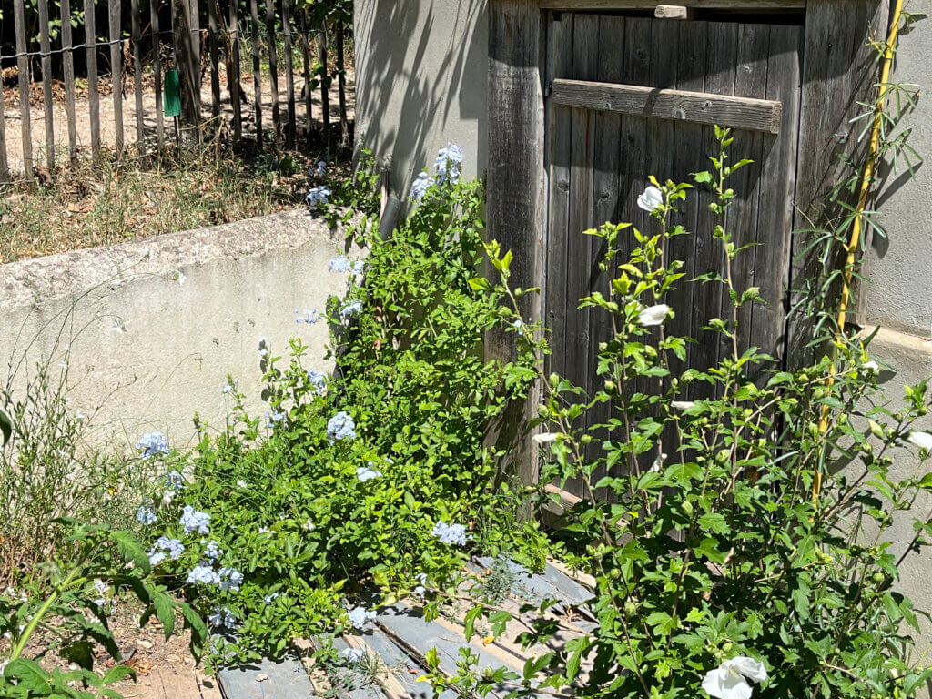 gites cabane Fontvieille 13990 alpilles