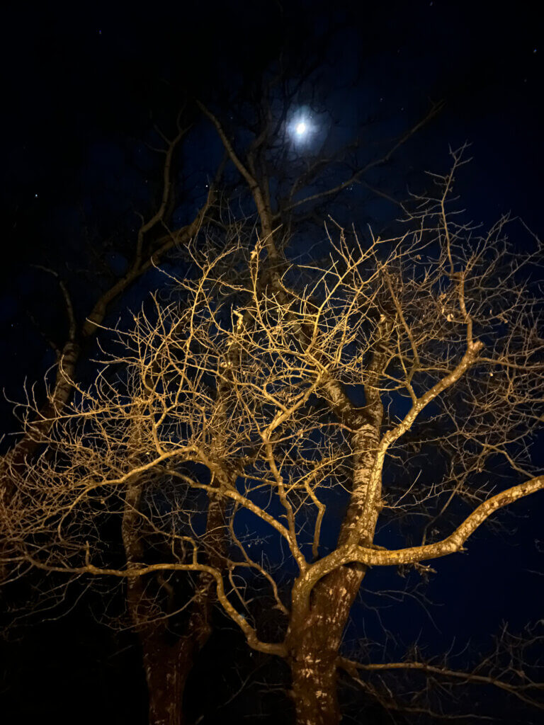 hebergement insolite Fontvieille arles maussane