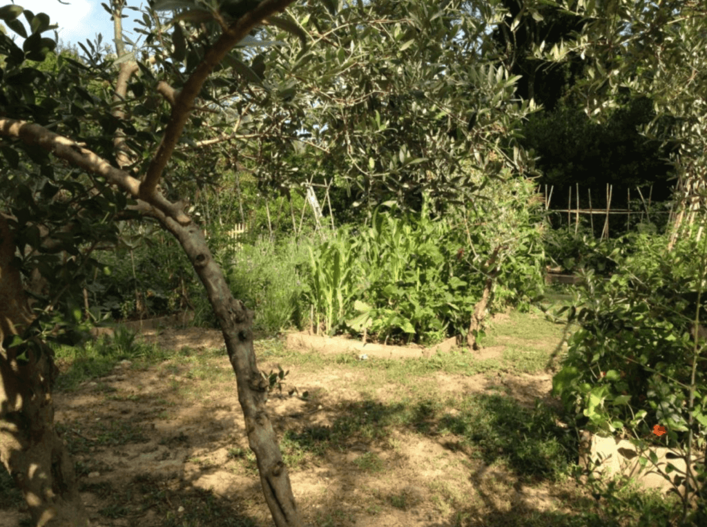 hebergement insolite piscine min