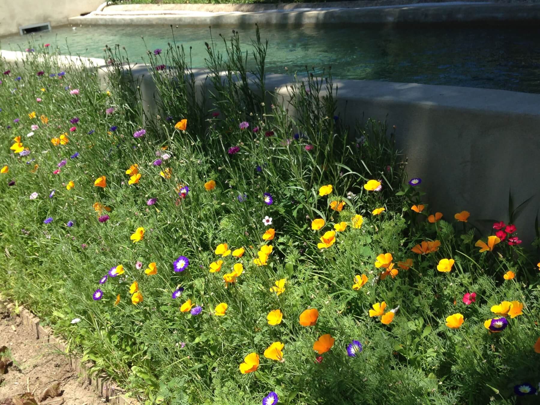 piscine cabane insolite hebergement fontvieille min